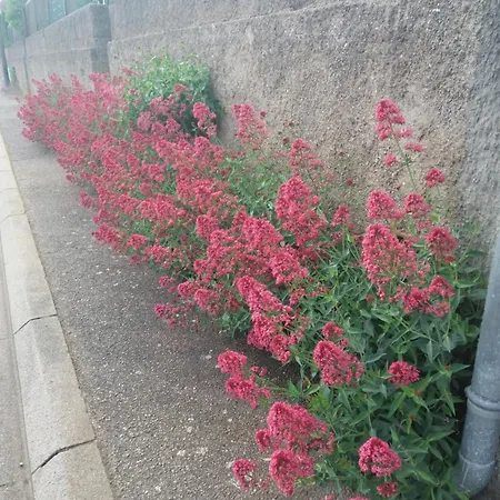 Casa de Férias La Valeriane *