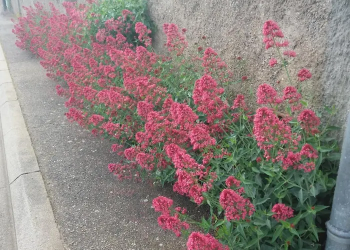 Prázdninový dům La Valeriane *